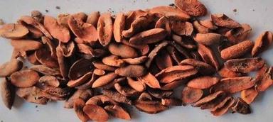 Mahua Seeds