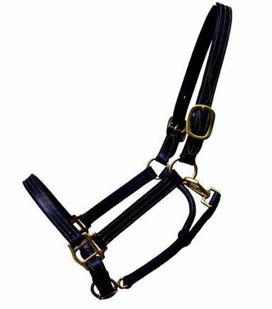 Leather Halters