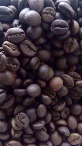 Common Natural Roasted Coffee Beans
