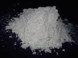 Minerals Diatomite Powder