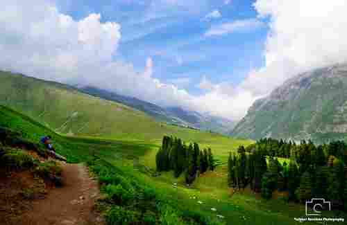 Himachal Pradesh Buran Pass Trekking Trekking Tour Services