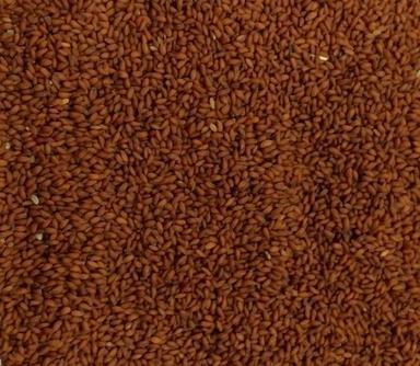 Lepidium Sativum Asaliya Seeds