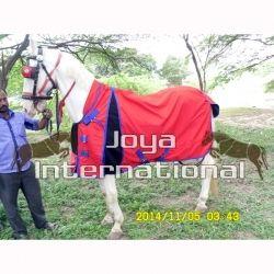 Horse Turnout Rug