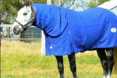 Highly Reliable Summer Horse Rugs