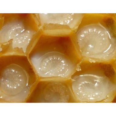 Pure Quality Royal Jelly