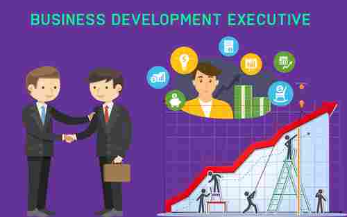 Business Development Executive Services