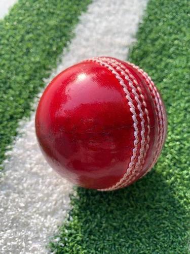 Red Nfs Cricket Training Ball