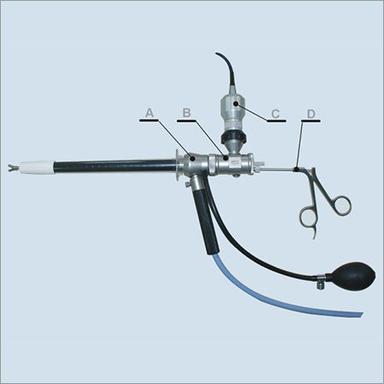 Endoscope Video Rectoscope