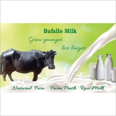 White Buffalo Milk