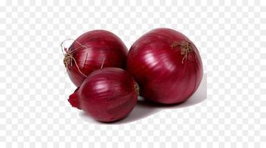 Round Natural Fresh Red Onion
