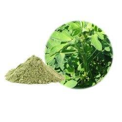 Herbal Product Ayurvedic Alfalfa Extract Powder