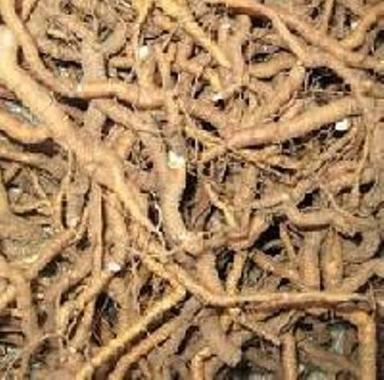 Ipecac Roots At Best Price In India Dry Place