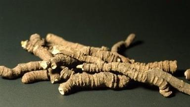 Ipecac Roots At Best Price In India Dry Place