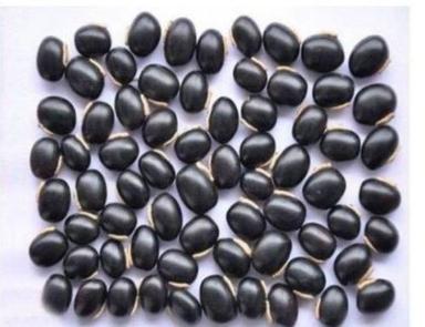 Organic Hybrid Black Kaunch Seeds