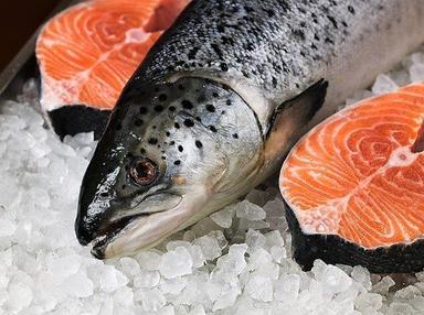 Frozen Salmon Fish Bristol Bay Sockeye Salmon, 25 Lb Case Ivp Fillets