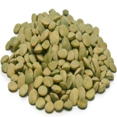 Common Healthy And Natural Green Lentils