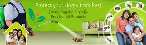 Residential Pest Control Services