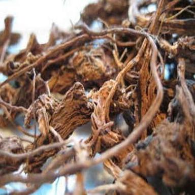Brown Coleus Forskohlii Dry Root Extract