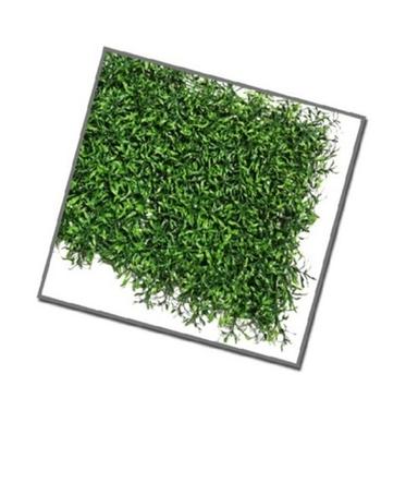Artificial Vertical Wall Covering Grass Mat Back Material: Anti-Slip Latex