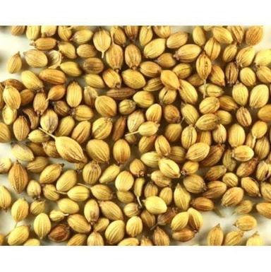 Brownish Spicy And Flavorable Sorted Quality Clean And Pure Indian A Grade Organic Whole Coriander Seed