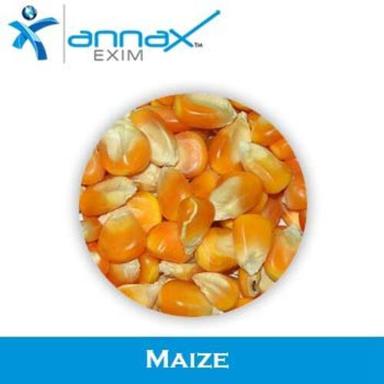 Healthy Natural Taste Dried Yellow Maize Seeds Packed In Pp Bag Grade: Food Grade