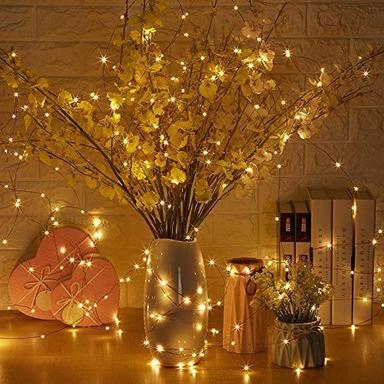 Battery Operated Single Color Warm White Very Attractive 5m Copper Body Decorative Led Light