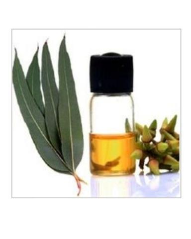 100% Natural and Pure Aromatherapy Essential Oil