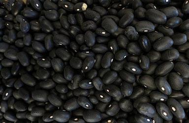 A Grade Black Beans Origin: South Africa
