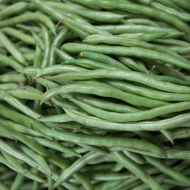 Pure Natural And Organic Special Grade With No Preservatives Green Beans Packaging: Packing