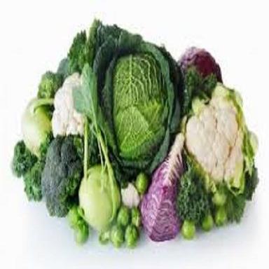 Fresh Natural Healthy Organic Brassica Vegetables For Cooking Salad And Juice  Moisture (%): 80%
