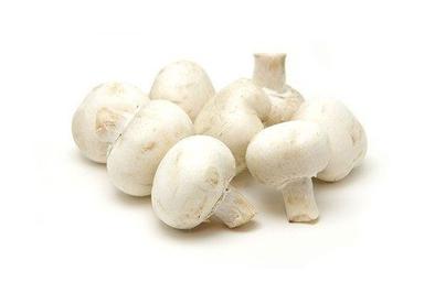 Silver White Fresh Button Mushroom 