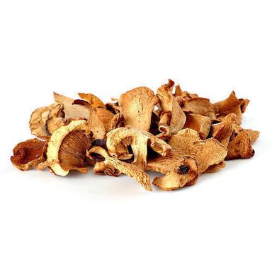 Brown Fresh And Dried Oyster Mushroom