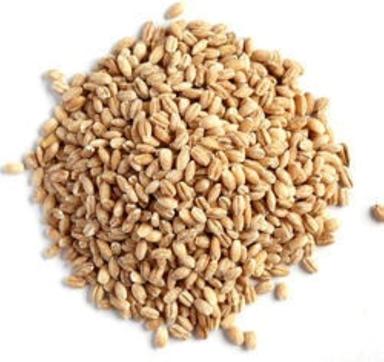 Edible Hybrid Agricultural Grade Organic And Natural Barley Seeds Admixture (%): 1%