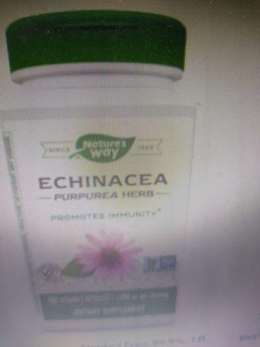 100 Percent Pure And Organic Natural Herbal Echinacea Extract