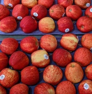 Red New Crop Fresh Apple Fruit