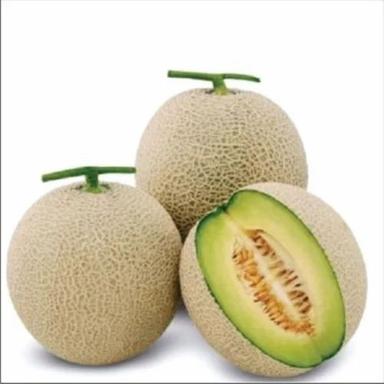 A Grade Common Cultivated 100 Percent Purity Agricultural Hybrid Watermelon Seeds for Plantation