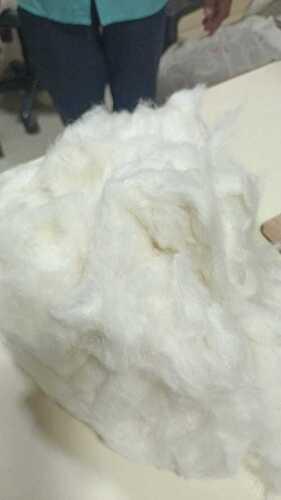 Yellowish white Pure soft Cotton