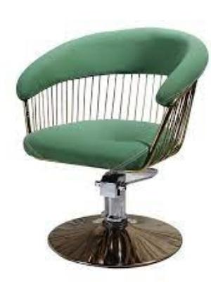 Scratch Resistant Beauty Parlour Chair