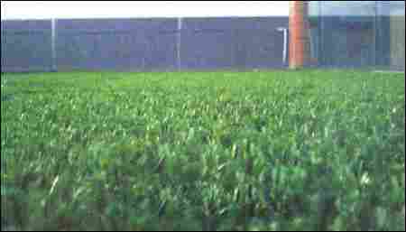 ARTIFICIAL GRASS CARPET FLOORING