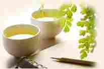 EGCG Green Tea Extract