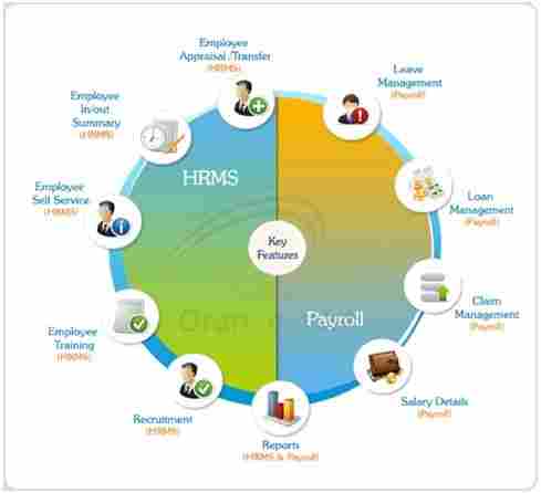 Online Payroll & HRMS Solution