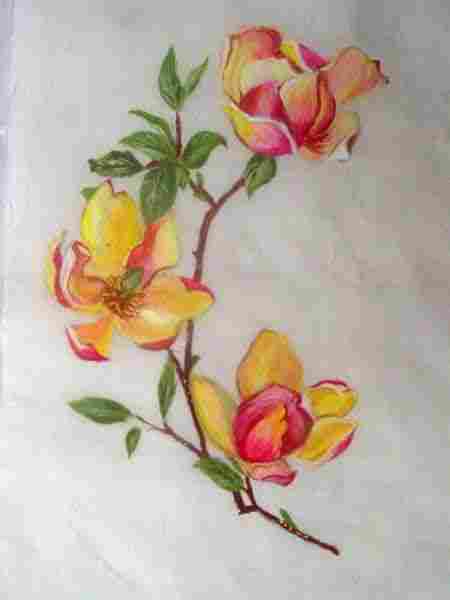Flower Painted Silk Fabric