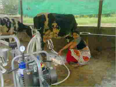 Cow & Buffalo Milking Machine