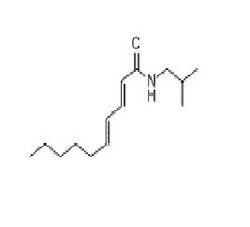 (2e,4e)-N-Isobutyl Decadienamide (Pellitorin)