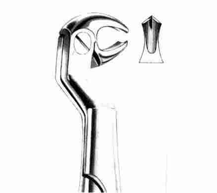 Wisdom Extracting Forceps Routurier