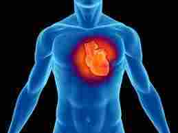 Generic Cardiovascular Drugs