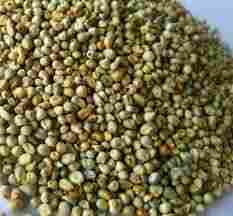  Green Millets (Bajara)