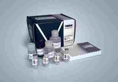 Immunoglobulin ELISA Kit