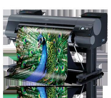 Color Large Format Printers