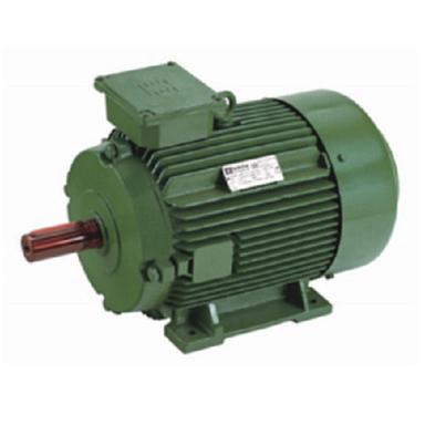 0.75Kwh Hp 1.0 Green Roller Table Motors With 112M Frames And Ip55 Protection Efficacy: Ie1